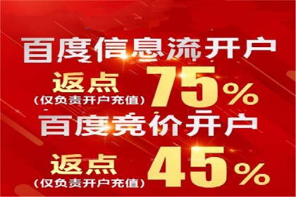 百度广告竞价案例：精准投放，实现广告效果最大化